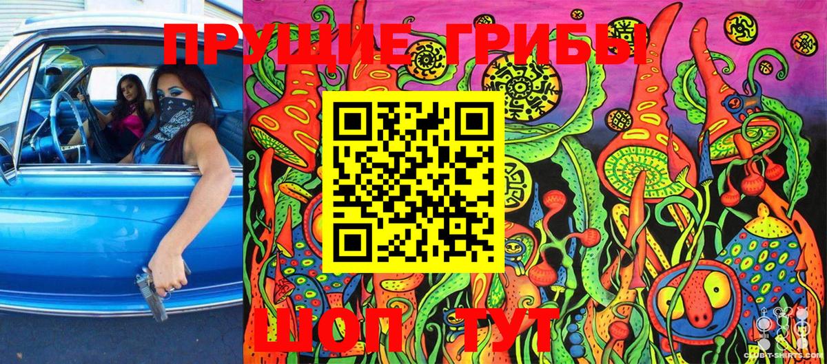 Галлюциногенные грибы GOLDEN TEACHER Бузулук