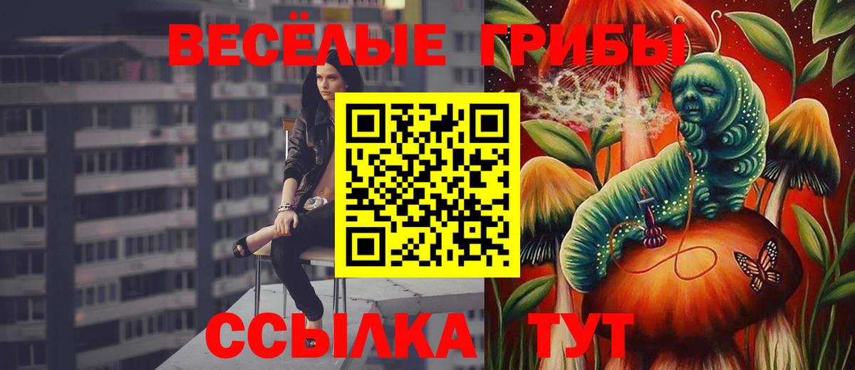 Бузулук  Галлюциногенные грибы Magic Shrooms  Вход с VPN 